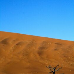 Sossusvlei Sand Dunes, Namib Naukluft Park, Namibia Pictures