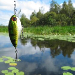 Wallpapers For > Fishing Lure Wallpapers