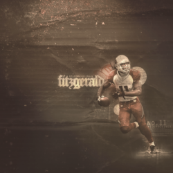 Larry Fitzgerald wallpapers by PD21