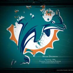 miami dolphins wallpapers and backgrounds