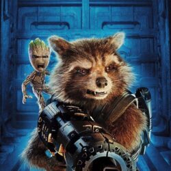 Baby Groot, Guardians Of The Galaxy Vol. 2, Movie, Rocket Raccoon