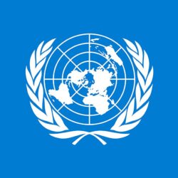 Picture United Nations Flag