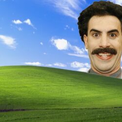 Borat wallpapers I found most hilarious