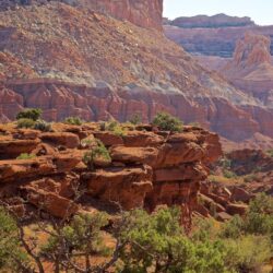 Capitol Reef National Park Pictures: View Photos & Image of
