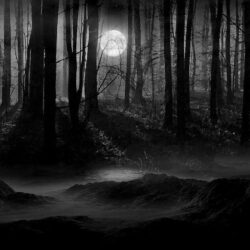 Dark Night Full Moon Wallpapers and Picture