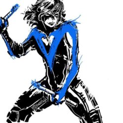 Dick Grayson aka. NightWing ! by FredSkin