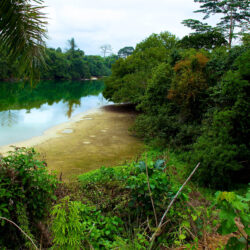 Gabon nature