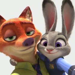 44 Zootopia HD Wallpapers