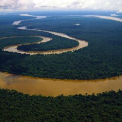 Nature Amazon River