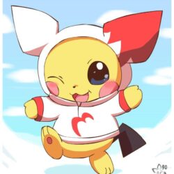 Hoodie Pichu by pichu90