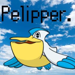 pelipper.