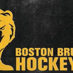 Boston Bruins Best Wallpapers 23950 Image