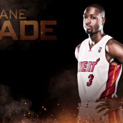 Dwyane Wade Miami Heat NBA Wallpapers 2014