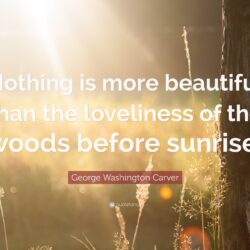 George Washington Carver Quote: “Nothing is more beautiful than