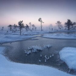 nature, Landscape, Sunrise, Winter, Mist, River, Trees, Snow