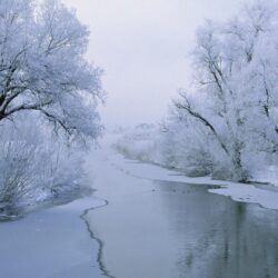 Wonderful White River Winter Wallpapers HD Wallpapers