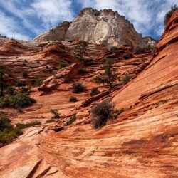 Zion National Park, Utah HD desktop wallpapers : Widescreen : High