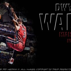 Dwyane Wade Basketball