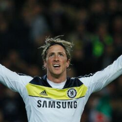 Soccer Fernando Torres Image 10