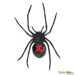 44+ Black Widow Spider