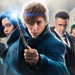 17 Fantastic Beasts and Where to Find Them HD Wallpapers