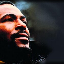 Marvin Gaye image Marvin Gaye HD wallpapers and backgrounds photos