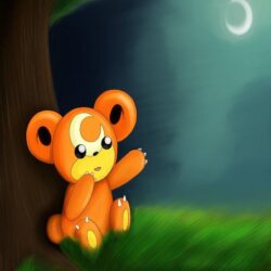 Teddiursa Wallpapers