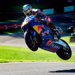 Download Honda Red Bull Moto GP Wallpapers