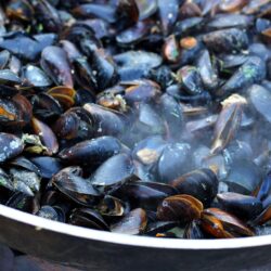 Seafood mussels fried trade № 47511