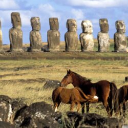 Download Great Horses Of Easter Island Chile Wallpapers