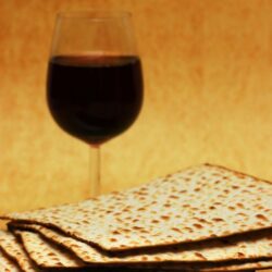 Passover By Louisa
