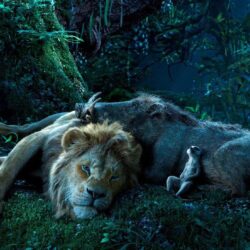 Disney The Lion King on Twitter: New photos from Disney The Lion