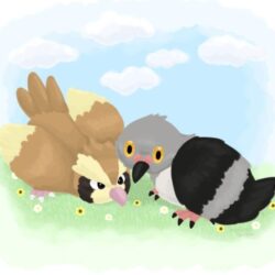 Pidgey and Pidove by peachshiba