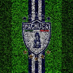 Download wallpapers CF Pachuca, 4k, football lawn, logo, Mexican