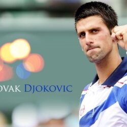 Champion Novak Djokovic Wimbledon 2014 Wallpapers , Free Widescreen