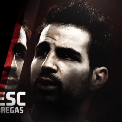 Cesc Fabregas Spanish Top Class Footballer Backgrounds