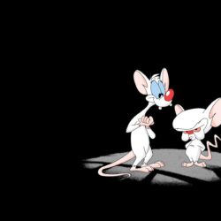 Pinky And The Brain Wallpapers 2