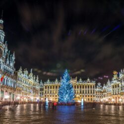 belgium brussels grand place christmas tree christmas night lights