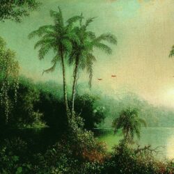 Download trees, painting, jungle, a