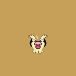 Pidgey Pokemon iPhone 6+ HD Wallpapers HD