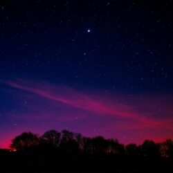 Download wallpapers starry sky, night, trees, clouds