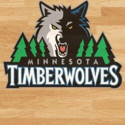 Top 17 idei despre Minnesota Timberwolves pe Pinterest