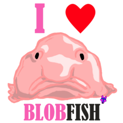 Abby Info on blobfish