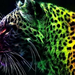 Wallpapers For > Cool Cheetah Wallpapers