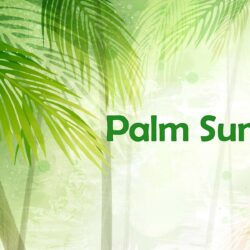 Palm Sunday Wallpapers For Iphone