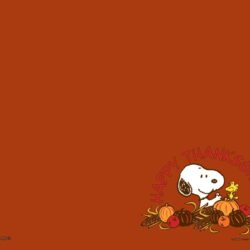 Thanksgiving Image HD Wallpapers