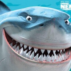 Finding Nemo, Bruce the Shark Wallpapers