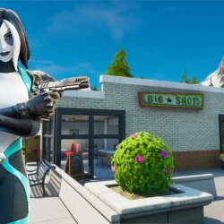 Domino Fortnite wallpapers