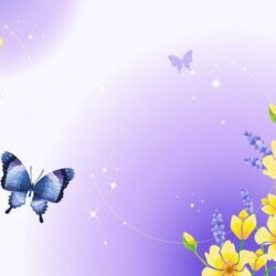 Clipart Butterfly Wallpapers Wallpapers