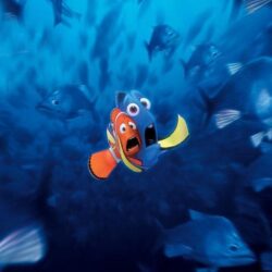 Finding Nemo Wallpapers